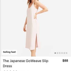 Everlane Japanese GoWeave Slip Dress